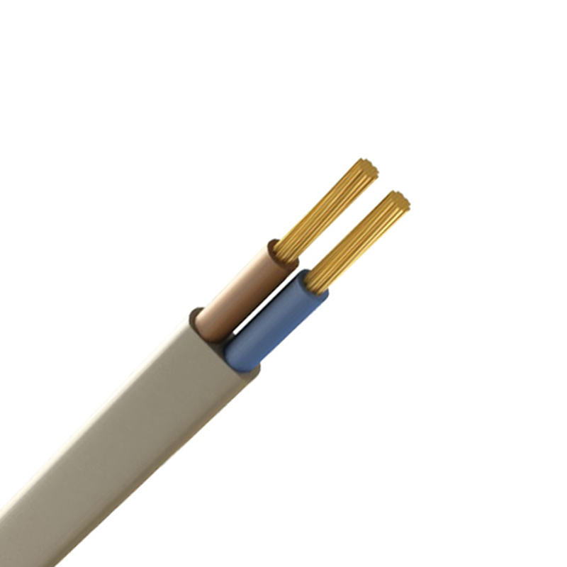 2 cores flat cable